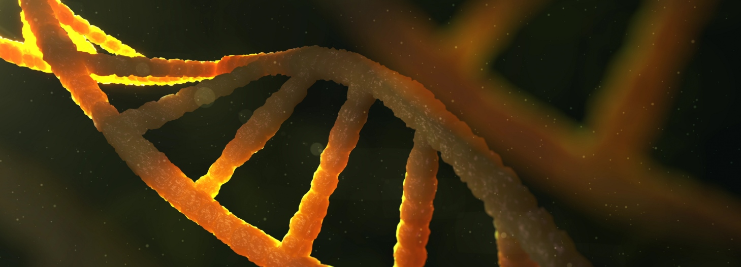 Nærbillede af en glødende orange DNA-dobbeltspiral på mørk baggrund.