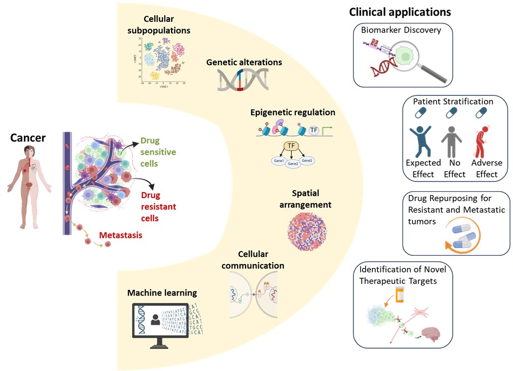 Visualisering af forskningsområde