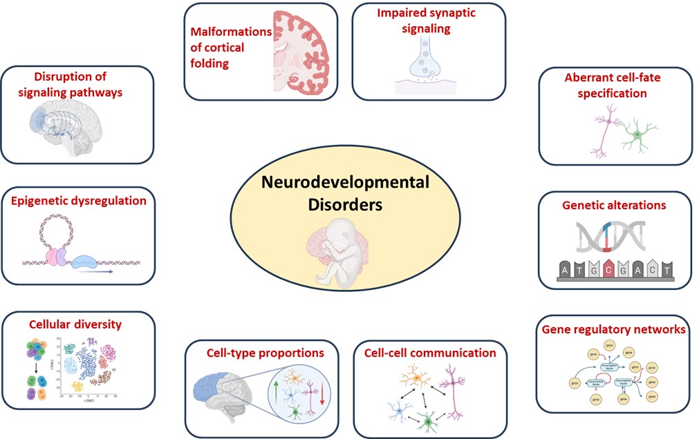 Visualisering af forskningsområde