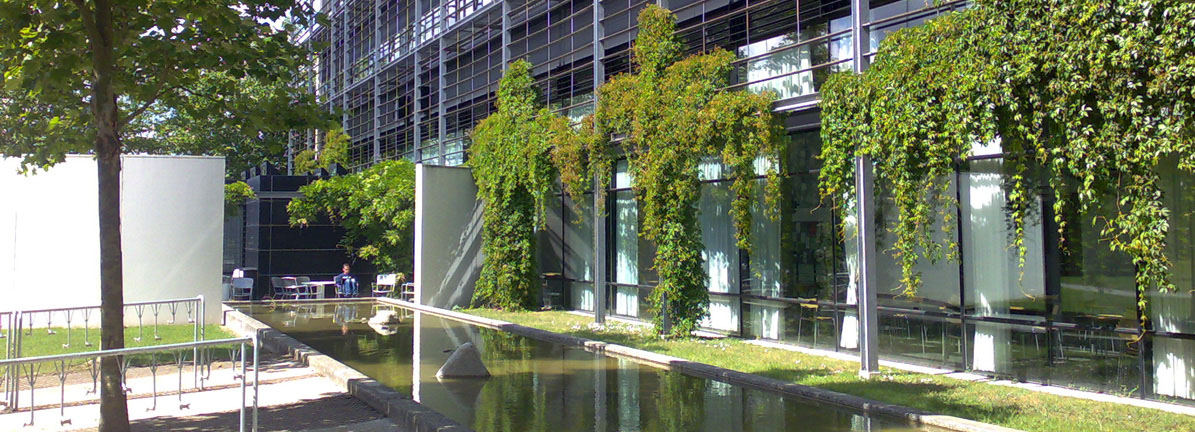 Moderne bygning med glasfacade, grønne klatreplanter og et smalt vandbassin i et solrigt gårdrum.