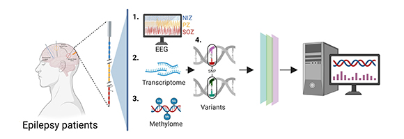 Illustration by Vijay Tiwari. Click to zoom.