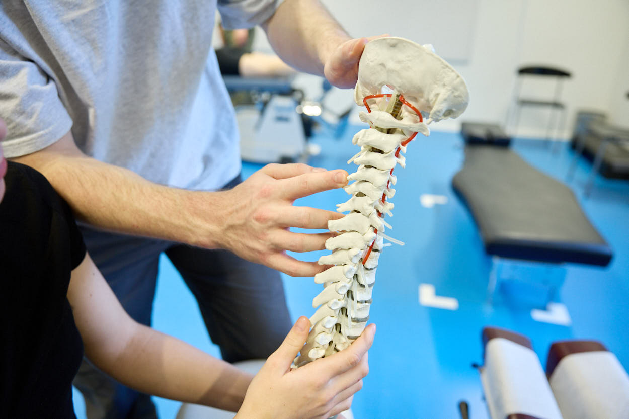 To personer holder og undersøger en anatomisk model af en menneskelig rygsøjle i et klinikmiljø. Den ene peger på ryghvirvlerne og forklarer, mens den anden lytter. I baggrunden ses behandlingsbrikse og udstyr i et lyst og professionelt rum.