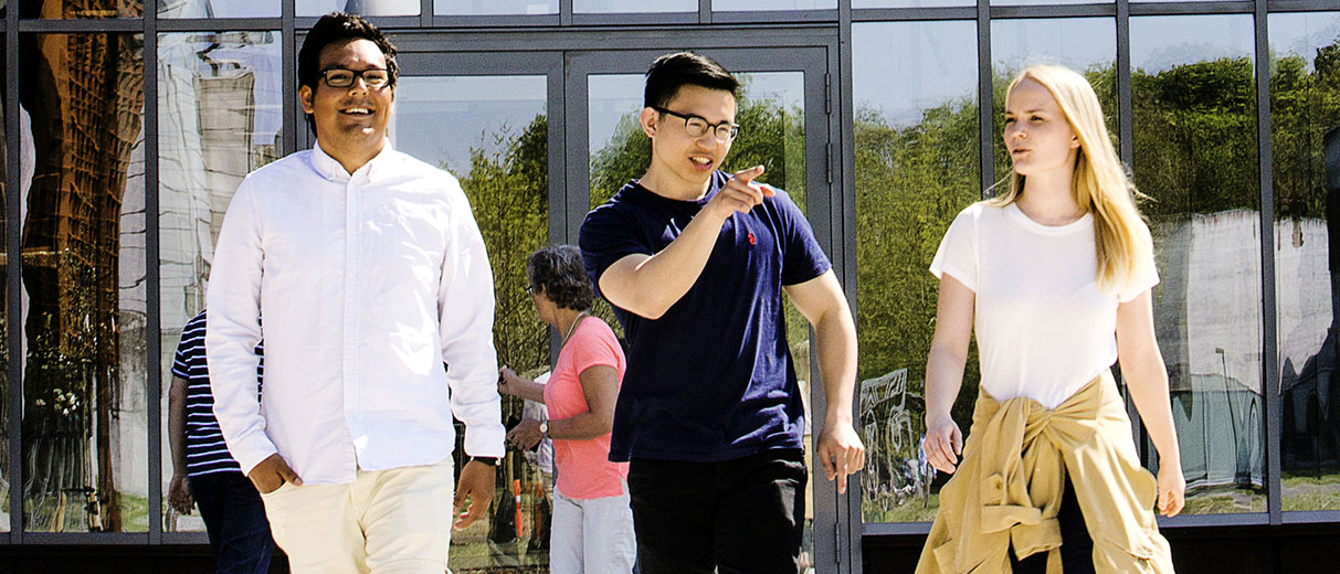 Dissertation vs thesis image