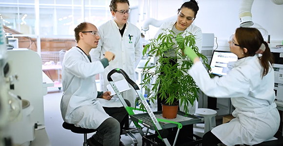 Fire personer i laboratoriekitler undersøger en stor grøn plante i et laboratorium.