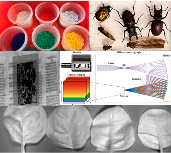 Eksempler på emner, der kan undersøges med hyperspektralt kamera