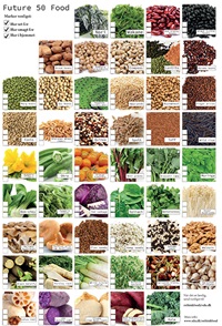 ReThinkingFood Pictorial Survey