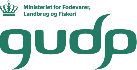GUDP