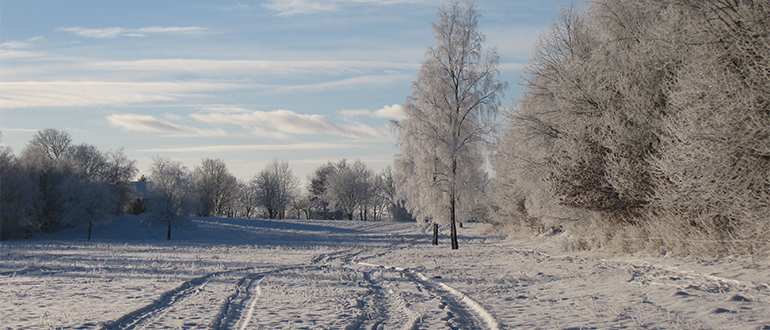 Sneklædt landskab med rimfrost på træer Snedækket mark med spor i sneen og rimfrostklædte træer langs kanten af landskabet.