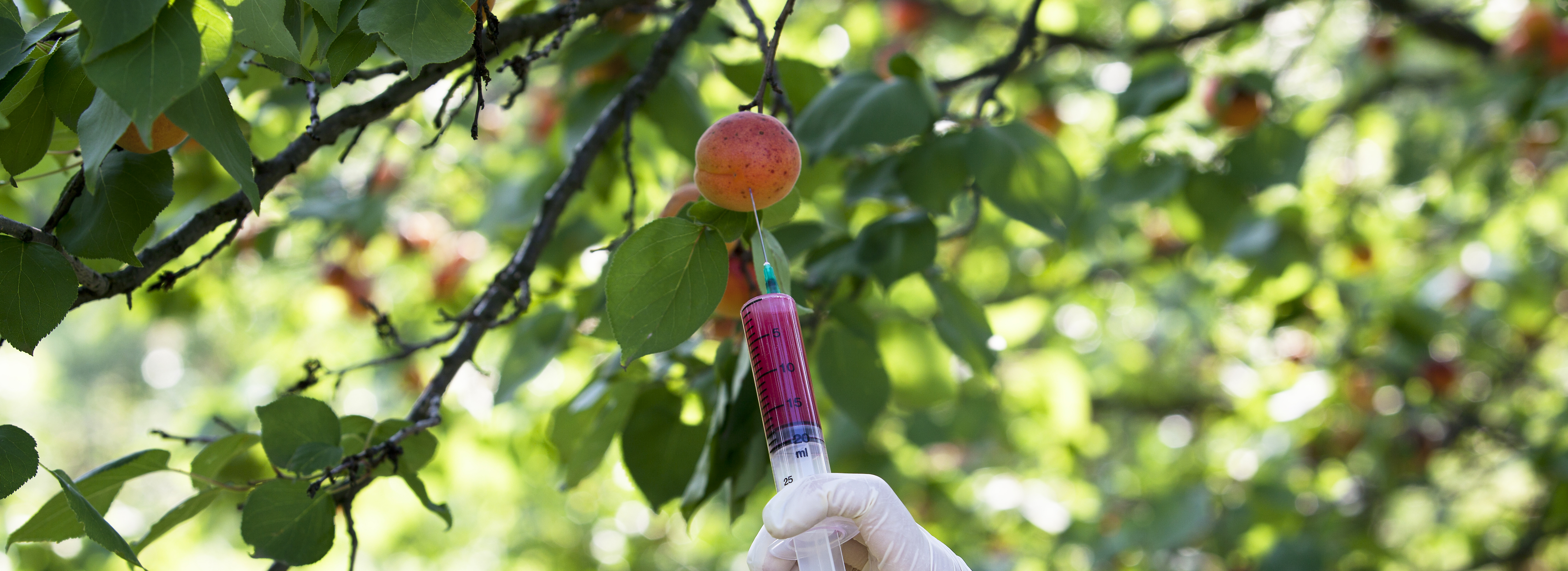 SDU Biotechnology Syddansk Universitet