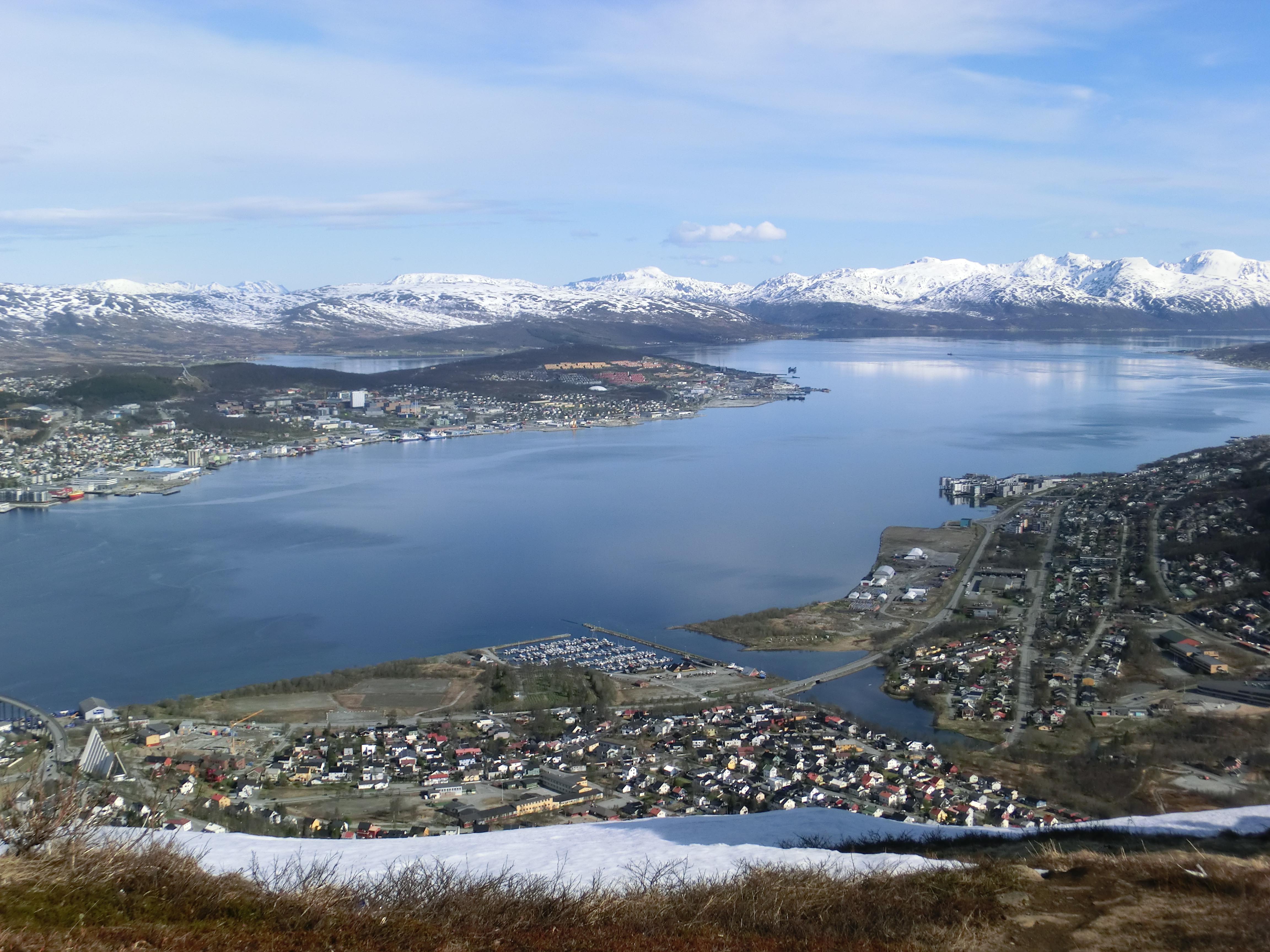 Arctic landscape