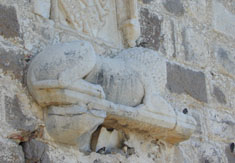 Fig. 40. Lion re-used in the English Tower of Bodrum castle. Perhaps from the Sanctuary of Apollo?