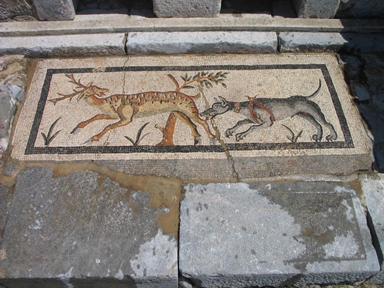 Fig 5. Tomb 2 mosaic