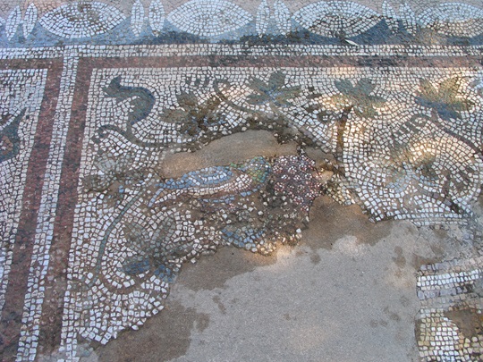 Fig. 9. Tomb 8 mosaic (B. Poulsen)