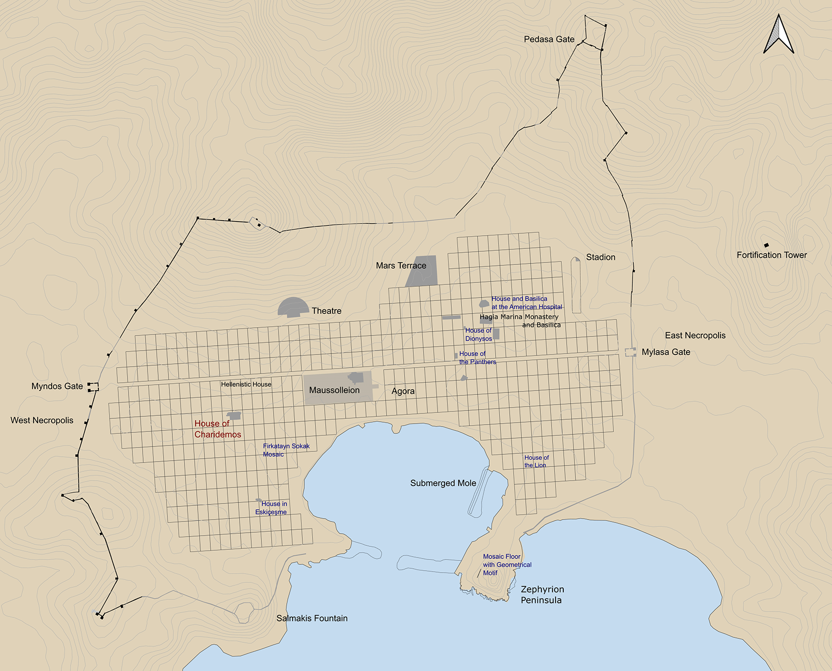 Plan of Halikarnassos with the House of Charidemos indicated