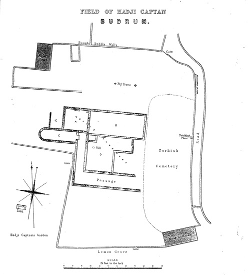 Plan of the so-called Roman Villa excavated by C.T. Newton in 1856