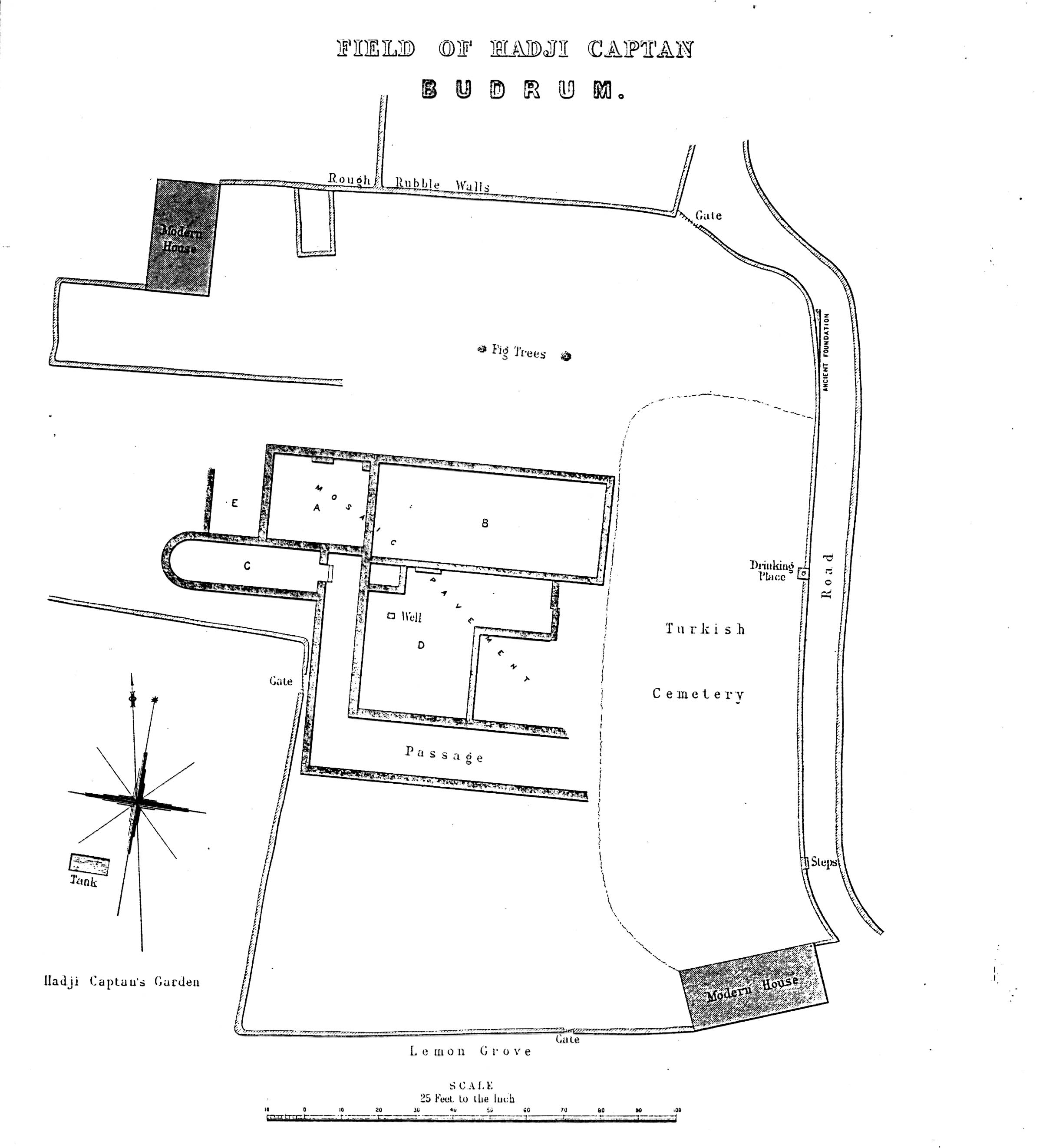 Plan of the so-called Roman Villa excavated by C.T. Newton in 1856