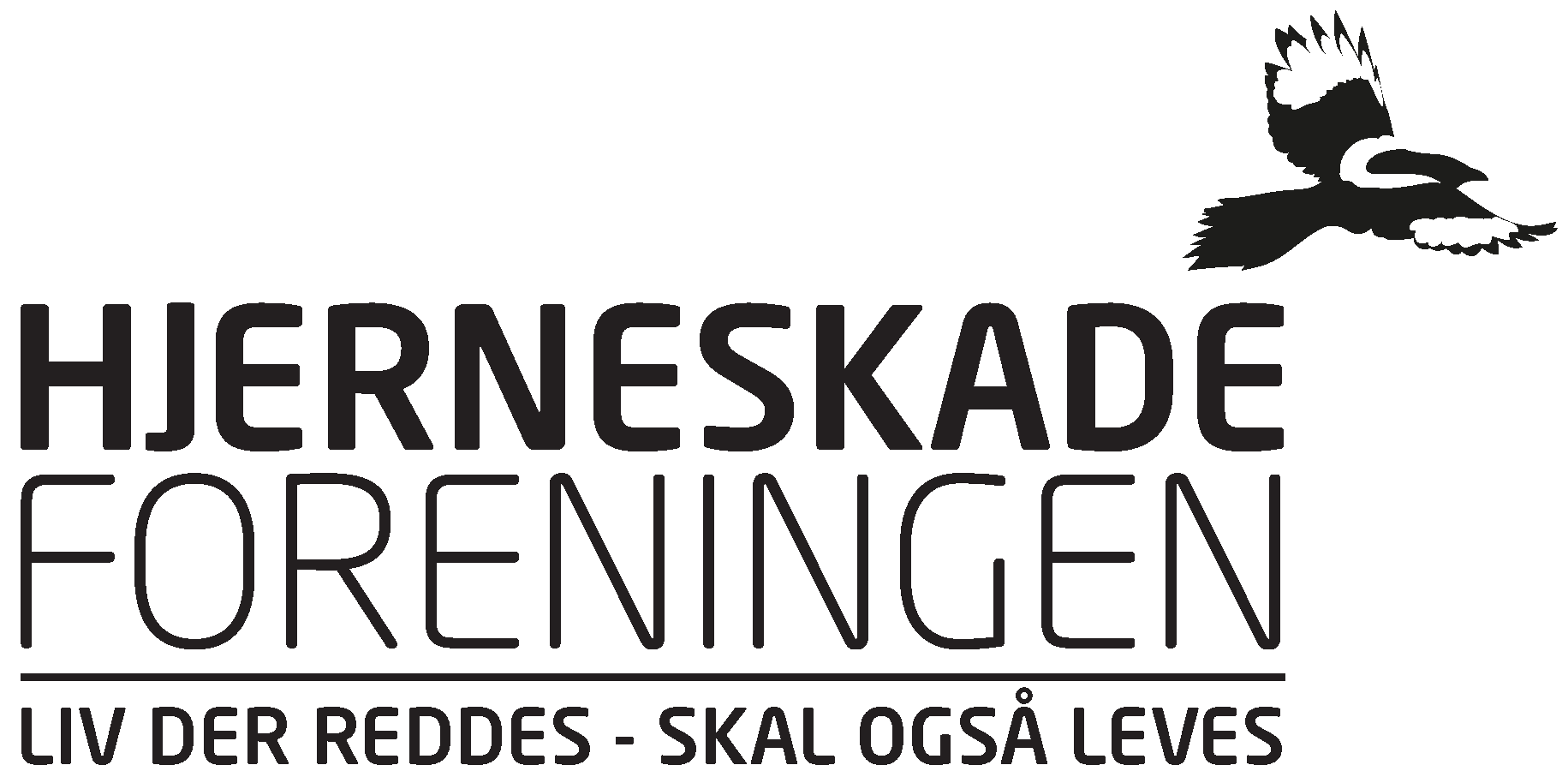 Hjerneskadeforeningen