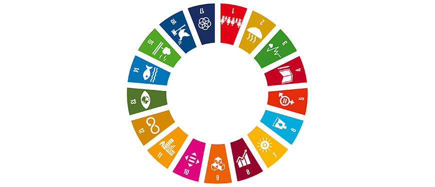 SDG Global Goals wheel