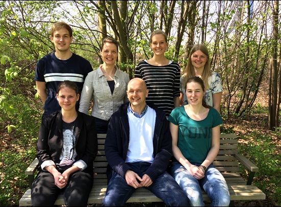 Fig. 4 The “shansen group” as of 2016 (excl. Rasmus)