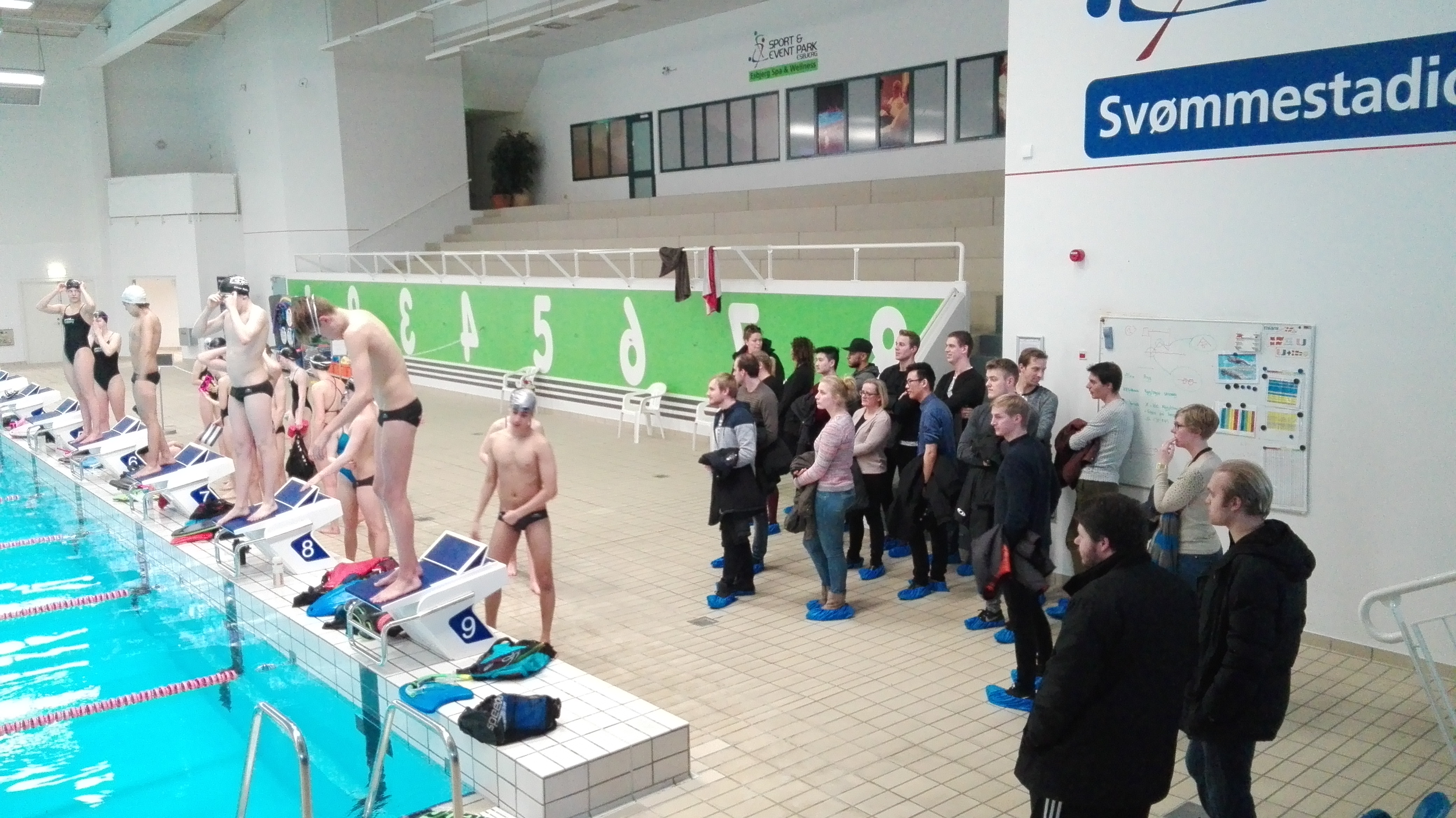 Tour throgh the Swimstadium