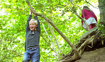 Dreng der klatrer i træ