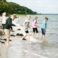 Fire børn ved vandkanten på en strand, mens de går i det lave vand nær kysten.