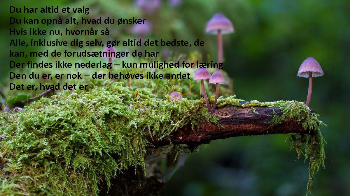 Universelle hensigter