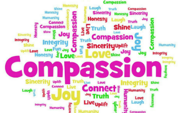 Hvad er compassion