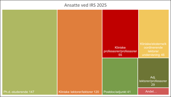 Visualisering af medarbejdersammensætningen ved Institut for Regional Sundhedsforskning (IRS) i 2025. Figuren er et rektangel-diagram opdelt i kategorier: flest er Ph.d.-studerende (147), efterfulgt af kliniske lektorer/lektorer (120), kliniske professorer/professorer (55), kliniske/eksterne/koordinerende lektorer i undervisning (46), postdocs/adjunkter (41), adjungerede lektorer/professorer (29), samt en mindre kategori mærket "Andet".