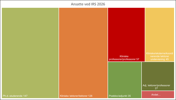 Treemap chart showing employee distribution at IRS in 2026, including PhD students, clinical lecturers, lecturers, clinical professors, assistant professors, postdocs, and external teaching staff.