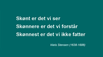 Skønt er det vi ser