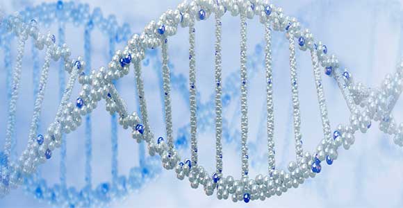 Funktionelle genomiske studier af aldersrelaterede egenskaber og sygdomme