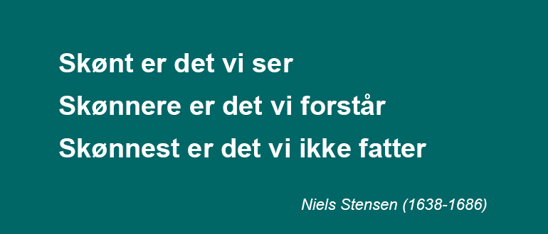 Steno