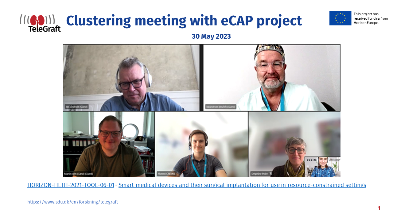 Clustering Meeting . eCAP project 
