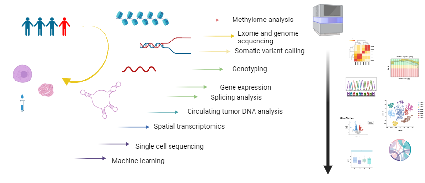 Clinical Genome Center activity