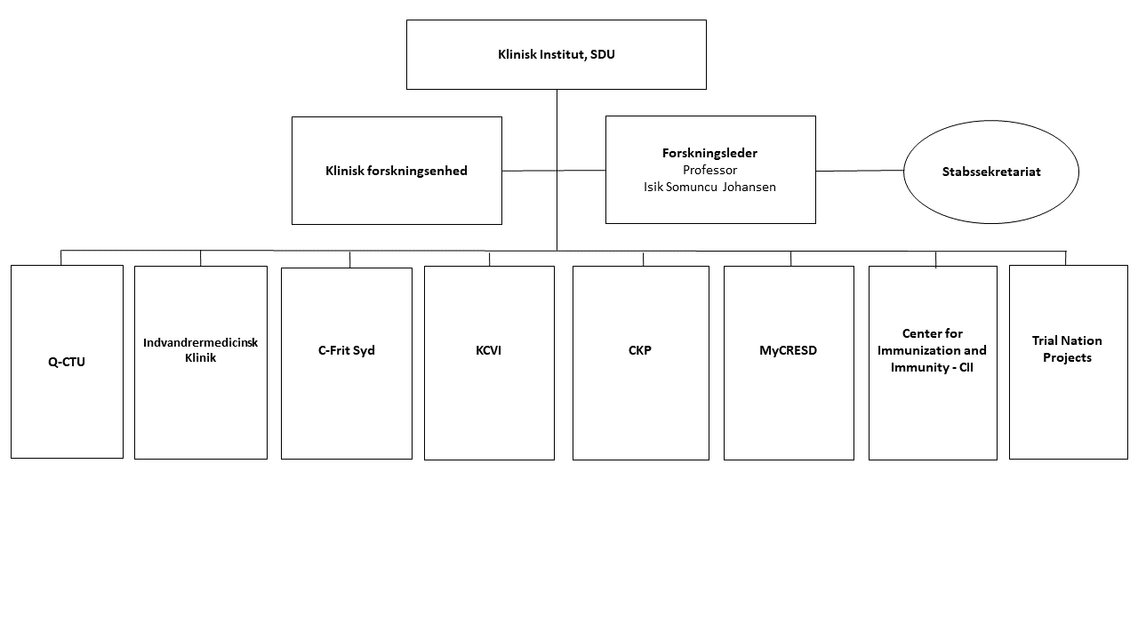 Organisation