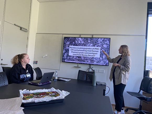 Mathilde and Emilie finish their 10 week practical internship with a very nice presentation