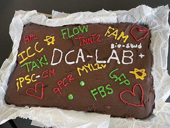 Mathilde and Emilie finish their 10 week practical internship with a very nice presentation