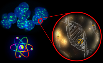 PrækliniskForskning