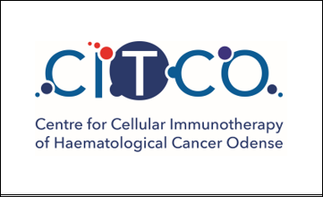 CITCO logo med ramme