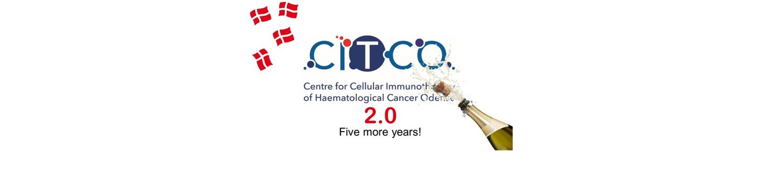 Graphic banner with Danish flags above "CiTCO", the text "Centre for Cellular Immunotherapy of Haematological Cancer Odense", "2.0", "Five more years!", and a champagne bottle spraying from the right.