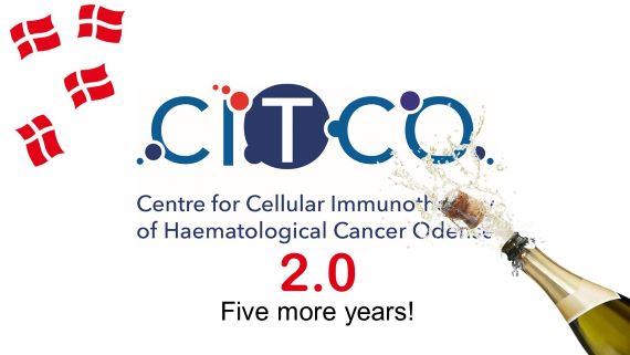 Billede af CITCO logo 2.0