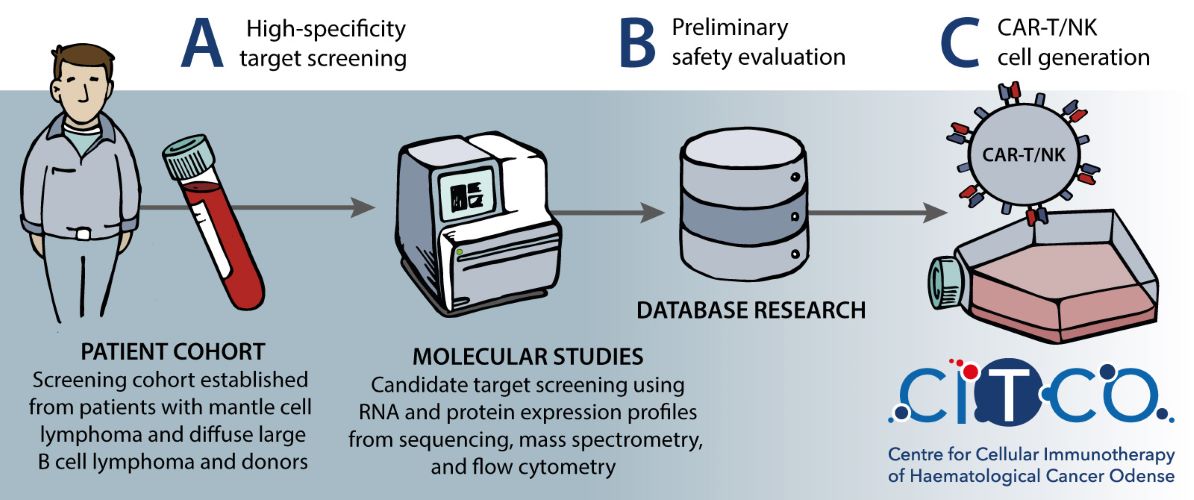 CAR-T produktion illustration