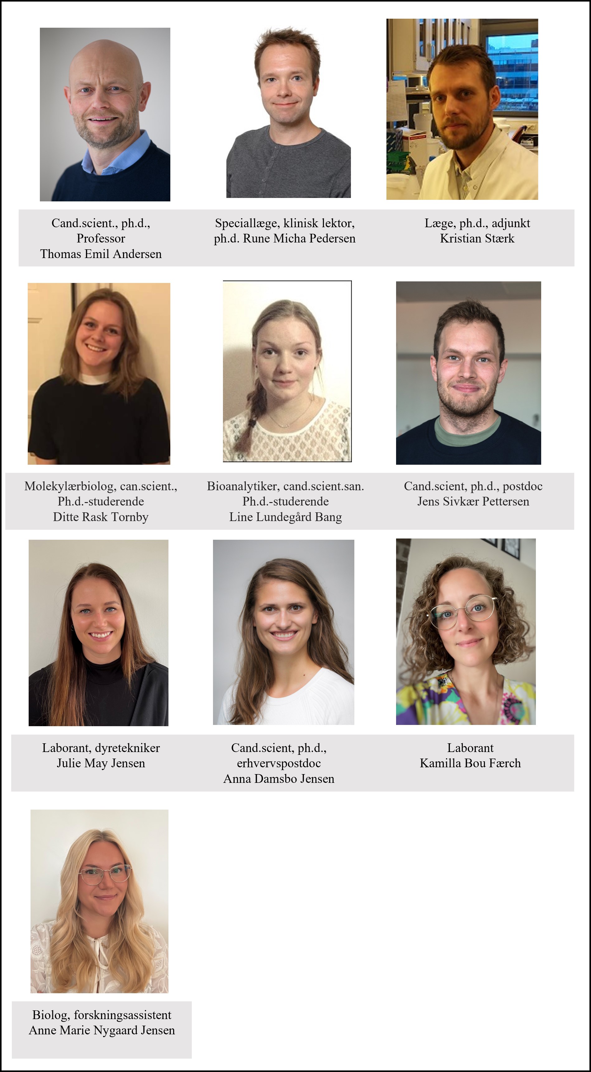 Billede af gruppemedlemmer