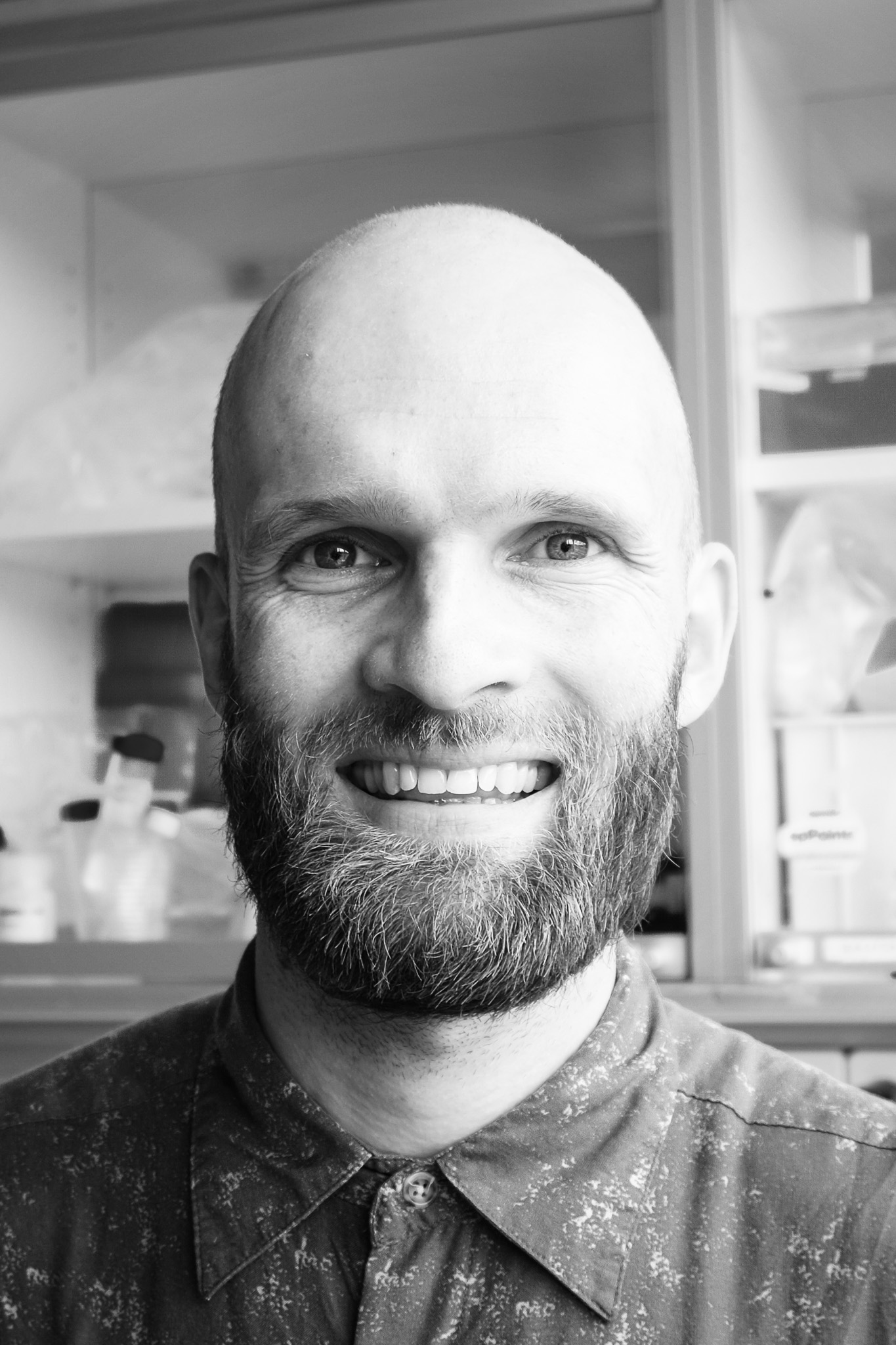 Mikkel