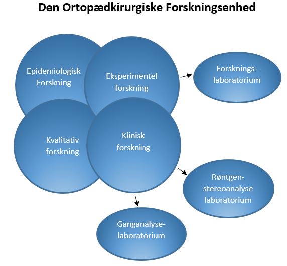 Organisationsdiagram