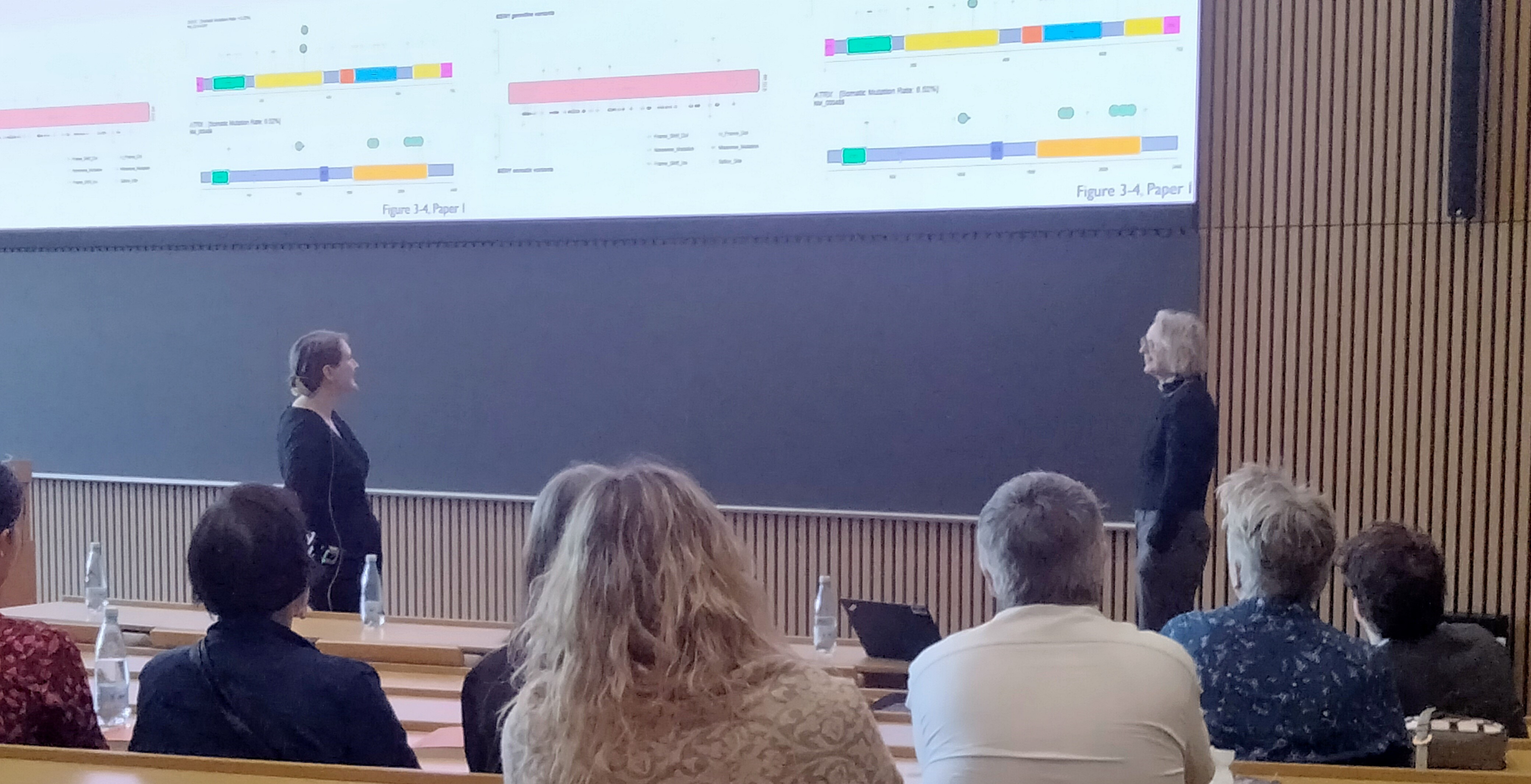 Publikum i et auditorium ser to personer foran en stor præsentationsskærm med dias og teksten "Figure 3-4 Paper I".