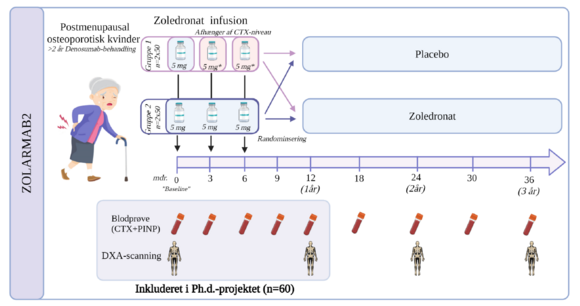 Overblik over ZOLARMAB2 projektet
