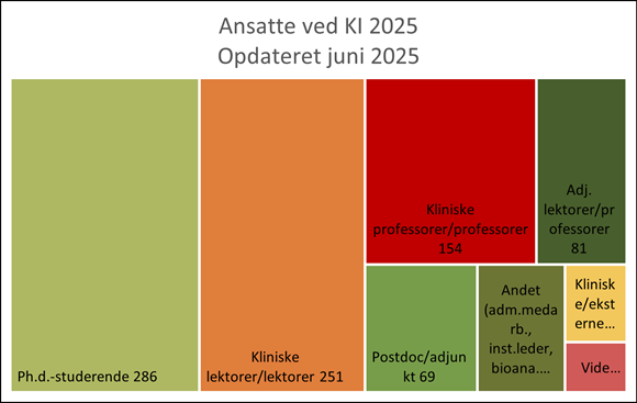 Treemap showing staff distribution at the Department of Clinical Research (KI) in 2025, updated June 2025. Largest groups include PhD students (286), clinical lecturers/associate professors (251), and clinical professors (154). Other categories include adjunct professors (81), postdocs/assistant professors (69), administrative and technical staff, clinical/external lecturers, and subject matter experts.