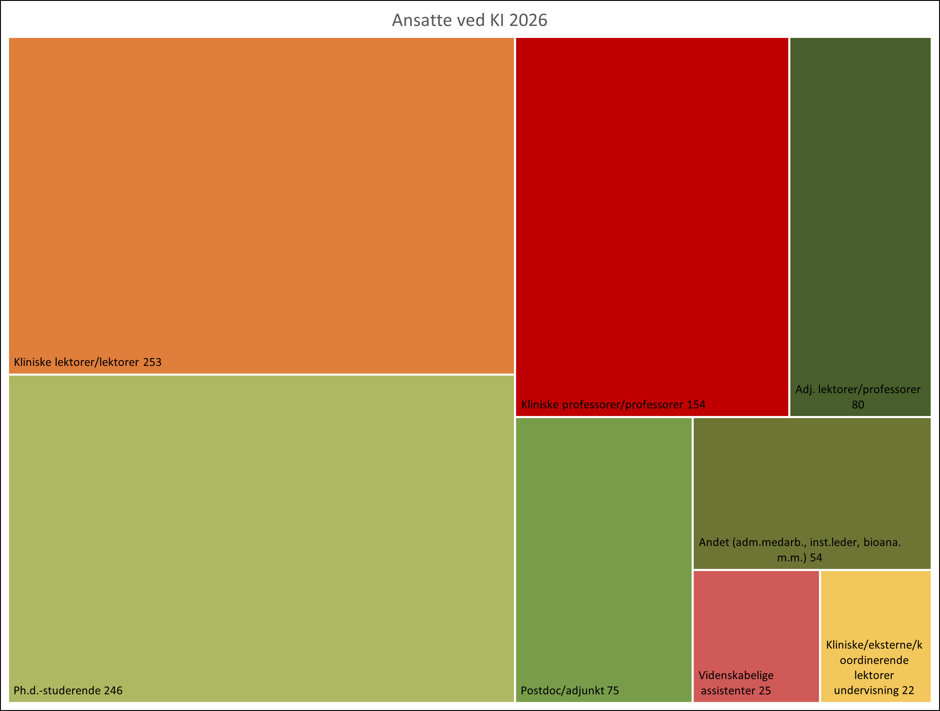 Treemap showing employees at KI in 2026 by job category. The largest staff groups are clinical associate professors and associate professors with 253 employees, followed by PhD students with 246 employees. The organization also includes 154 clinical professors and professors, 80 affiliated associate professors and professors, and 75 postdoctoral researchers and assistant professors. The “Other” category, including administrative staff, the head of department, and biomedical laboratory scientists, consists of 54 employees. In addition, there are 25 research assistants and 22 clinical, external, and coordinating teaching associate professors. The chart highlights associate professors and PhD students as the largest staff groups at KI.